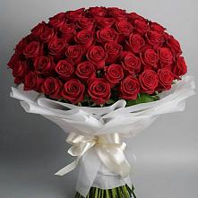 Букет 101 Красная роза Блэк Мэджик в Смоленском Алтайский край