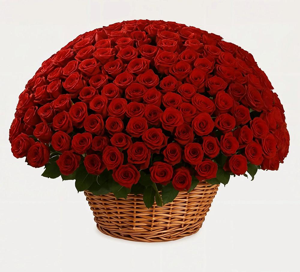 Премиум букет из: Розы в Смоленском Алтайский край