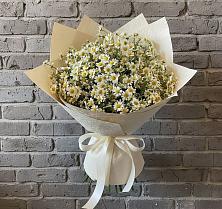 Букет цветов из:  Ромашки #REPLACE_PRED# Смоленском Алтайский край