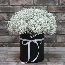 Цветочная композиция из Гипсофила в шляпной коробке в Смоленском Алтайский край