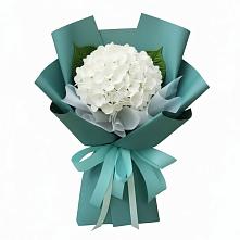 Букет цветов из:  Гортензия в Смоленском Алтайский край